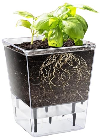 Macetas de autorriego – Maceta transparente de 5.9 pulgadas | Con de depósito de agua, maceta decorativa para interiores con agujeros de ventilación para orquídea, rosa, violeta, vainilla, uso | Transparente para planta araña violeta africana vainilla rosa