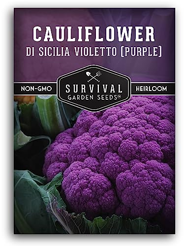 Purple Cauliflower Seeds for Planting – Violetto di Sicilia – Heirloom Italian Cauliflower Variety Producing Deep Violet Heads - Non-GMO, Open-Pollinated - Survival Garden Seeds (1 Pack)