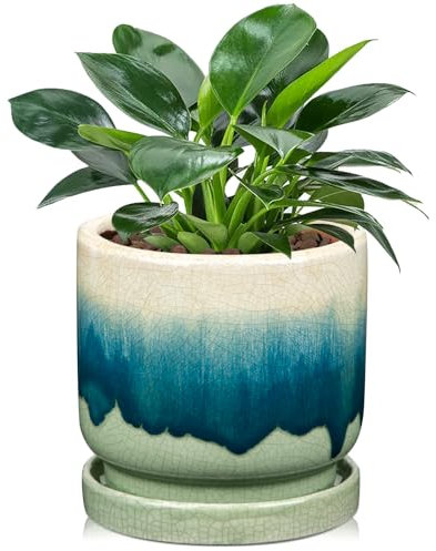 Oairse Vaso in ceramica per pianta grasse con fori di drenaggio e sottovaso, diametro 13 cm, per interni e giardino all'aperto, verde