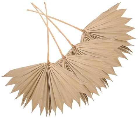 Amosfun 4 Pezzi Decorazioni a Ventaglio Foglie di Palma Essiccate Naturali, Ornamenti da Parete per Matrimoni e Composizioni Floreali Fai da Te, Decorazione per Feste e Arredamento Casa