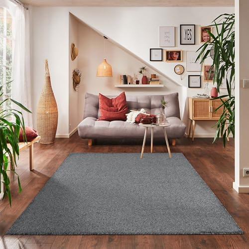 Carpettex Teppich Wohnzimmerteppich, kurz, modern, Farbe und Größe wählbar, grau, 200x290 cm