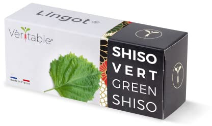 Lingot® Shiso Vert - Compatible Potager d'Intérieur Véritable® et Exky® - Recharge prête à l'emploi - Substrat avec Graines Intégrées…
