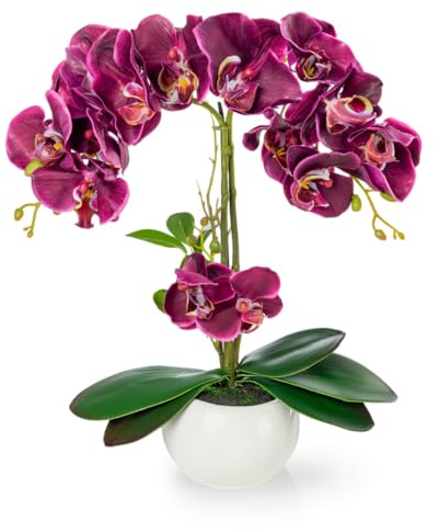 PASCH® Orchideen künstlich in Hochglanz-Keramiktopf (40cm) | Kunstblumen im Topf | Kunstblumen wie echt | künstliche Orchideen im Topf | künstliche Blumen im Topf | Kunstblume Orchidee