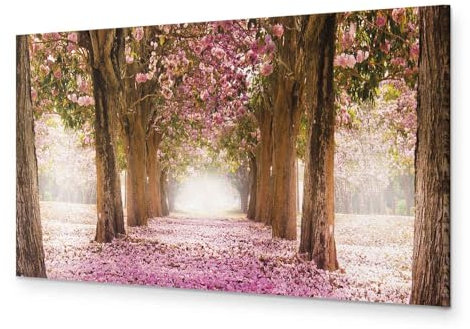 murando - Akustikbild 120x40 cm Bilder mit Akustikschaumstoff Hochleistungsschallabsorber Schallschutz Leinwandbild XXL 1 tlg Wandbild c-A-0052-b-b