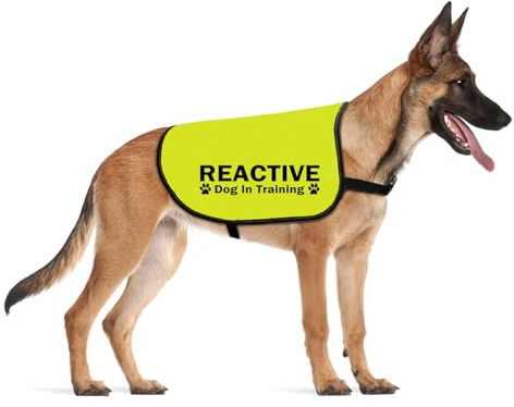 CENWA Reaktive Hundejacke Weste Hund Reaktiv Hundetraining / Reaktiv Nicht Aggressiv Service Hund Slogan Warnweste (REACTIVE Training L EU)