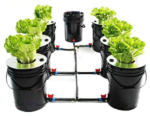 FUNYSF 20L Hydroponic Growing System Kit Crop Hydroponic Growing System for Indoor Hydroponic Growing System 6 Meter Luftschlauch