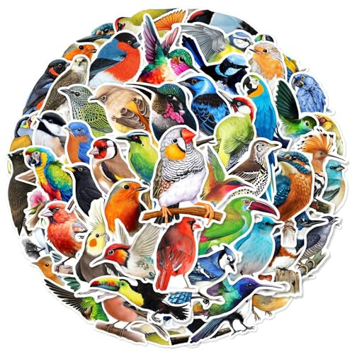 Lot de 50 autocollants oiseaux pour voiture, ordinateur portable, téléphone, guitare, skateboard, moto, vélo, Bird - En vinyle imperméable - Pour adolescents, enfants, adultes