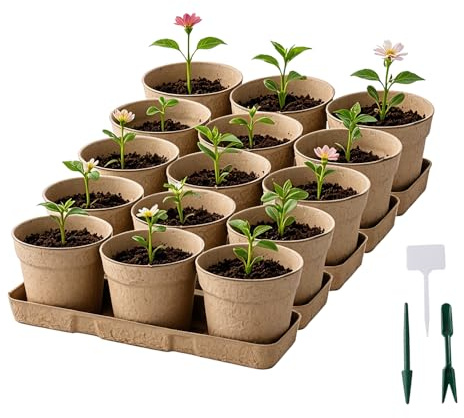 Biodegradable Plant 10cm Pot, Nursery Saucer Set (15 Pots with 5 Trays) | Peat-free Compostable fibre pots Seedling Growing Pot for Flower Herbs Cutting Transplanting, labels tools, Indoor Outdoor