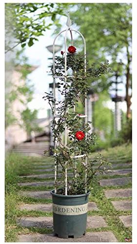 SMYORR Obelisco da Giardino Traliccio per Per Rose Piante Rampicanti All'aperto Supporto Grigliato a Colonna Resistente/White / 20x90cm