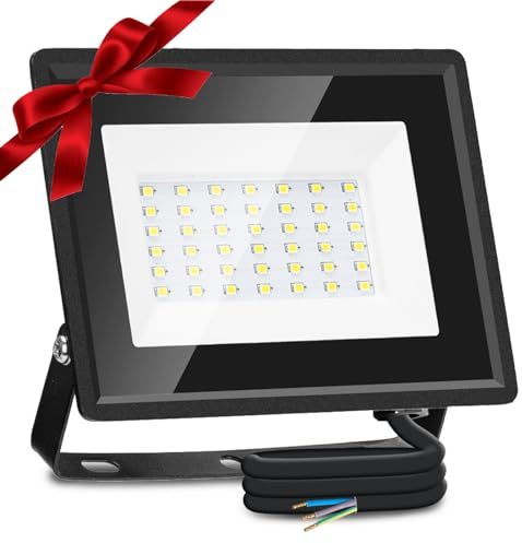 Aigostar Faretto LED da Esterno 30W 2510LM, Faretti LED Esterno Impermeabile IP65, 6500K Bianca Fredda per Giardino, Cortile, Garage, Pareti