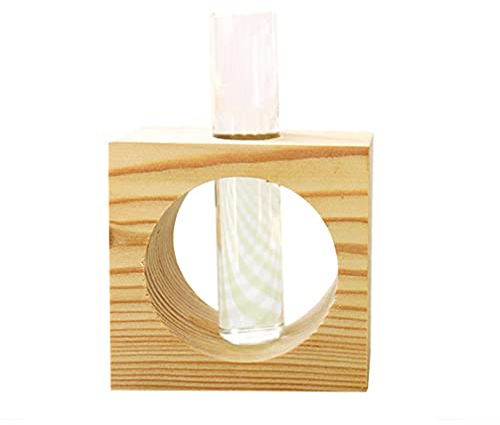 Generic Test Tube Planter Glass Tube Vase Test Tube Bud Vase Desktop Glass Planter Terrarium Propagation Station Plant Terrarium Test Tube with Wood Stand for Hydroponics Plants 2 Sets