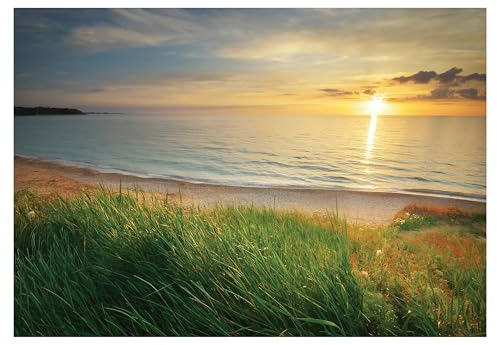 Fototapete Strand Meer Ostsee Natur Landschaft 368x254 cm - inkl. Kleister - für Wohnzimmer Schlafzimmer Flur Vlies Tapete Wandtapete Vliestapete Motivtapeten Montagefertig