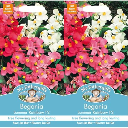 Mr Fothergill?s Seeds Ltd 22102 Mr Fothergill's Begonia Summer Rainbow F2, Mixed (Pack of 2)