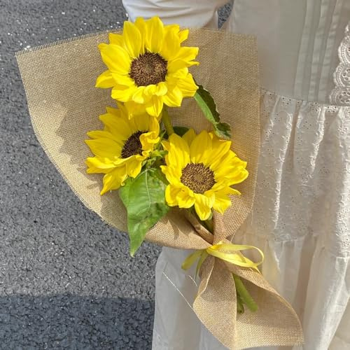 semi di girasoli perenni resistenti per pieno sole perenni resistenti, di lungo giardino decorazione estate primavera interni 150pcs