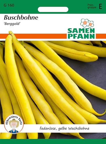 Samen Pfann G160 Buschbohne Berggold (Buschbohnensamen)