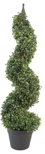 Leaf Design UK Buxus Buchsbaum-Spiralbäume