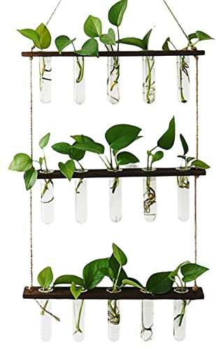 LOSOO Reagenzgläser Für Blumen Mit Ständer, 3 Etagen Hängende Vermehrungsstation Für Pflanzen Wand Pflanzgefäß Glas Reagenzglasvasen Für Drinnen Und Draußen Geeignet