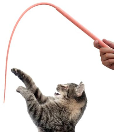 Generisch Teaser Zauberstab Für Katzen, Weicher Silikon Teaser Zauberstab Tragbares Katzen Teaser Stange Katzenangel Lang Zum Erkunden, Unterhaltung, Spielen, Tragbares Haustiersp