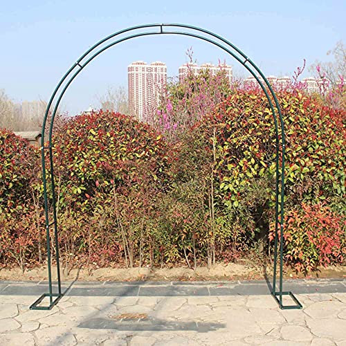 Arche de jardin en fer forgé pour rose, clématite, plantes grimpantes, noir (240 cm)