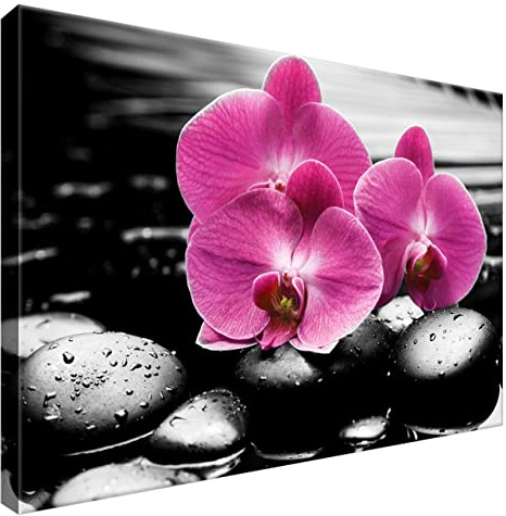 Estika Leinwand bilder - Rose Orchideen, Schwarz weiß Hintergrund - 60x40 cm, 1 teilige kunstdruck - Wandbilder wohnzimmer, schlafzimmer, Moderne wanddeko, Bild auf leinwand - 1380A_1E