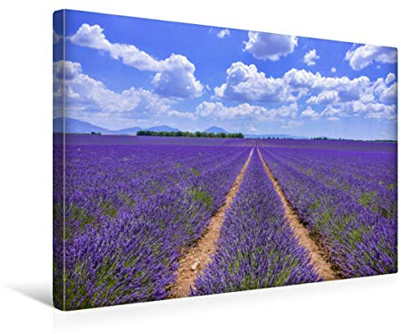 Premium Textil-Leinwand 45 x 30 cm Quer-Format Blühender Lavendel bei Valensole | Wandbild, HD-Bild auf Keilrahmen, Fertigbild auf hochwertigem Vlies, Leinwanddruck von Jürgen Feuerer