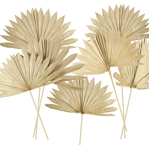 Chenkaiyang 10 Pieces Large Dried Palm Leaves Decor Sun Palm Natural Dried Palm Fans Dried Palm Spears Gold Palm Leaf Dried Plants for Boho Wedding Bouquets Home Leaf Party Decorations( 10 Pieces )