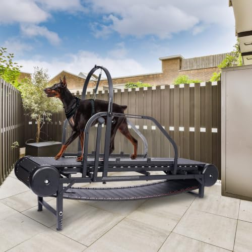 Dog Treadmill for Large Dogs, Adjustable Ramp Canine Running Slatmill Machine with Pedometer for Exercise & Healthy & Fit Pet Life, Used Indoor Home, Up 500LBS
