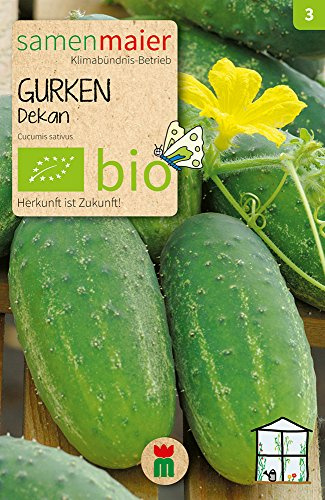 BIO Gurken Dekan Samen - ertragreiche Salat- und Einlegegurke bis 17 cm lang - samenfestes Saatgut aus kontrolliert biologischer Landwirtschaft - Aussaat April bis Juni - 11 Korn - Samen Maier