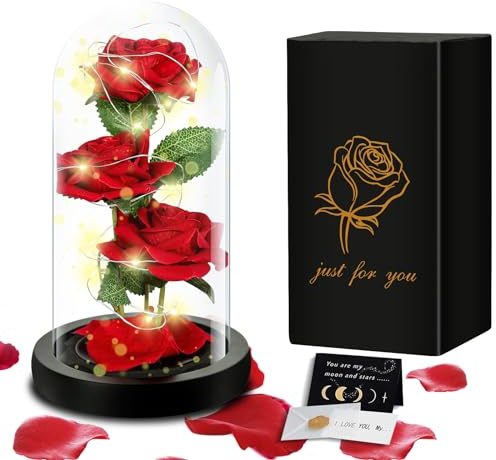 TAVADA La Bella e La Bestia Rosa Eterna,Kit di Rose,Rosa Bella e La Bestia con Luce a LED con 1 Biglietto di Auguri,Festa della Mamma,Idee Regalo San Valentino,Anniversario