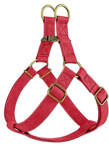 Personalisierte PU Leder -Haustier -ID -Name Buckle Gurtzur,Rot,M