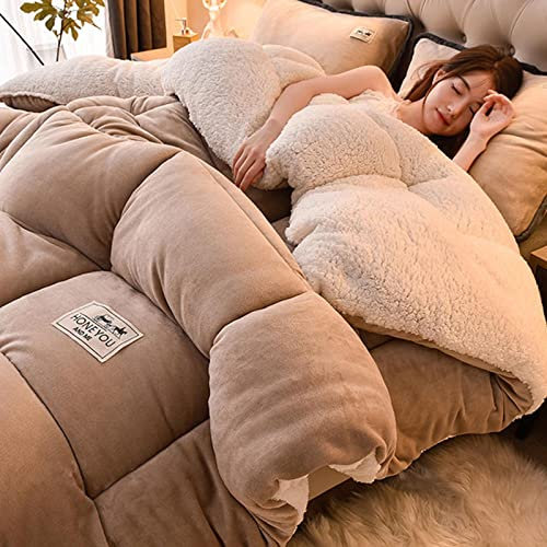 TUCVZVO Couette 4 saisons, couette d'hiver en cachemire d'agneau épais, couverture moelleuse, noyau en velours d'agneau, couverture d'hiver chaude, B, 220 x 240 cm (5 kg)