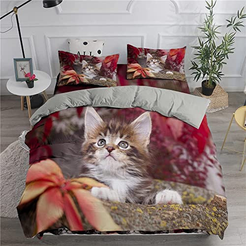 CHCHNXY BettwäSche 200x220,Katze 100% Microfaser 3D Print Bettbezug Mit 2 Kissenbezug 80x80cm Mit Reißverschluss,Weich Und Angenehme Bettwäsche Set Für Erwachsener