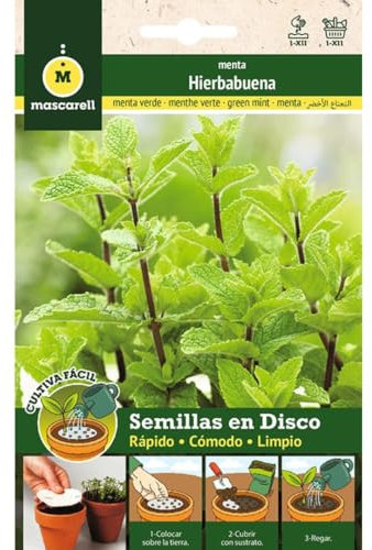 Mascarell Seeds, Peppermint, Grow Easily, Create Your Own Garden at Home, Disc 8 CM