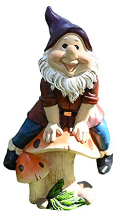 KYEQATY Jardin GNOME fée Mini GNOME Statue Miniature Gnomes Jardin Figures fée naine Ornement extérieur sur Les Champignons l Jardin pelouse Accessoires