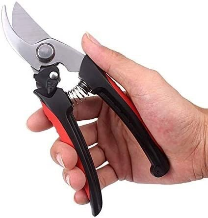 BUNGAA Sécateurs, sécateurs, Arbre à cliquet greffage Cutter sécateur Jardin ébrancheur bonsaï Outils Professionnel sécateur à Main sécateur antidérapant Ciseaux