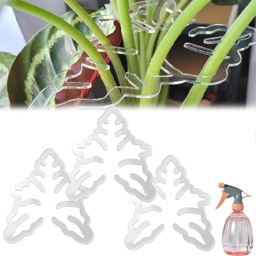 ayattecy Gracehomee Monstera Grappe Monstera, Gracehomee Monstera Gracehomee Monstera, maintient les plantes apprivoisées et poussent verticalement pour fleurs, herbes, légumes (B-3 pièces)