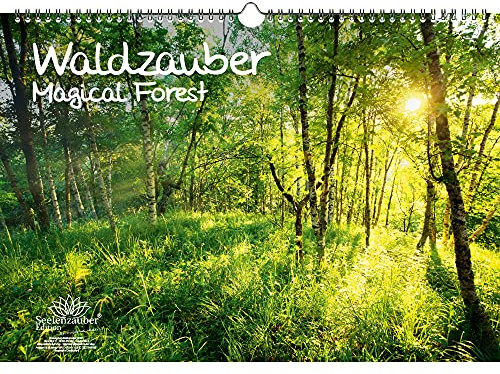 Skogsmagi DIN A3 – vintervänlig kalender skog – själsmagi