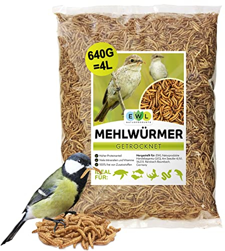 Mehlwürmer getrocknet 4 ltr. Insektensnack Vögel, Fische, Schildkröten, Nager, Igel, Reptilien, Vogelfutter Wildvögel Ganzjährig Eichhörnchen Futter Hamsterfutter Igelfutter