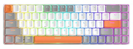 68 Clés Clavier de Jeu mécanique Filaire avec rétroéclairage RGB, Mini Clavier de Jeu mécanique Portable 60% pour Ordinateur Portable Gamer (Édition Bee Switch Bleu)