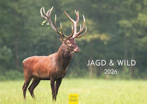 Edition Seidel Calendrier Premium Chasse et Faune 2026 Format DIN A4 Calendrier Mural Calendrier Animalier Faune Sauvage Cerf Sanglier Canard Forêt Chasse Revier