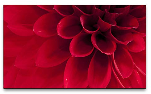 Bilder XXL rote Dahlie Nahaufnahme 120x70cm Wandbild auf Leinwand