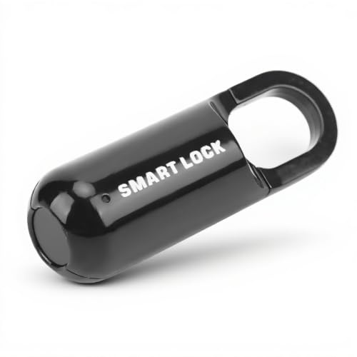 Lucchetto con Impronta Digitale, 10 Set Lucchetto con Impronta Digitale in Lega di Zinco Antifurto Senza Chiave Ricaricabile Tramite USB con Indicatore Luminoso a LED, Sblocco di