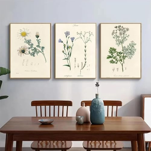 GOSRD Vintage Botanischer Farn Ästhetische Blumenpflanzen Retro Poster Leinwand Malerei Wandkunst Bilder Inneneinrichtung für Zuhause 50 x 70 cm x 3 Ohne Rahmen