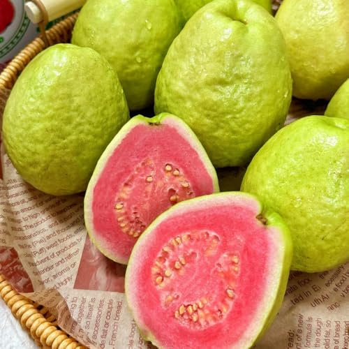 Semi di di guava, da colonnari per il giardino serre da balcone semi per il giardino colonnare resistente balcone guava, 100pcs