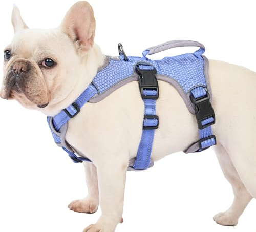 Huntboo Flyktssäkert Hundsele Medium, Reflexsele med Handtag, Justerbar Hundsele Stor Hund, Ventilerande Väst för Små och Medelstora Hundar under Promenader, Träning och Löpning (Lila,M)