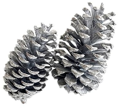 Anevous 12 Stück Weihnachten Tannenzapfen, Natürliche Tannenzapfen Weihnachts Tannenzapfen Dekor Anhänger Ornamente für DIY Handwerk, Weihnachten Party, Hängende Dekoration,Silber A 12-15cm