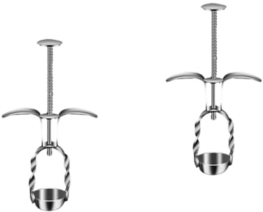 Gatuida 2pièces Dénoyauteur De Et Dattes Acier Outil De Cuisine Pratique pour Retirer Noyaux De Fruits pour Jujubes Et