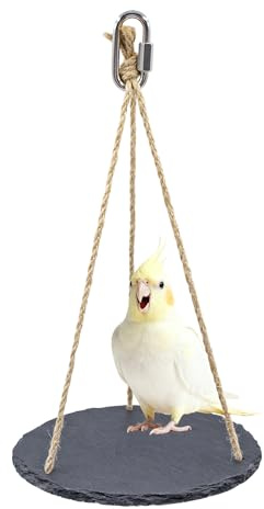 Bird Toys, Swing Perch Toys with Slate Rock and, Bird Playground, Cage Accessories for Budgies, Cockatiels, Lovebirds, Green Cheeks, Small to Medium Birds