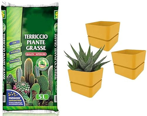 Virsus Kit Sacca Terriccio Piante Grasse 072 da 5LT + 3 Vasi quadrati con sottovaso 308 misura 12x11cm, Terriccio elevata capacità drenante, vaso per interno ed esterno per piante grasse (Curry)