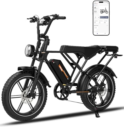 RCB 20 Electric Bike for Adults - 48V/15.6AH Battery, 250W, Fat Tire E-Bike，APP/NFC Control,City & Mountain Suitable